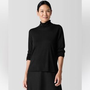 Buy NWOT Eileen Fisher Merino Box Top Sweater